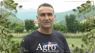 AGROSAZNANJE - Abdulah Muratović iz Petnjice uspješan poljoprivrednik, nezadovoljan podrškom države