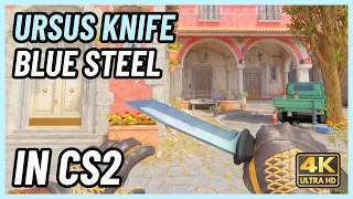 ★ CS2 Ursus Knife Blue Steel | CS2 Knife In-Game Showcase [4K]