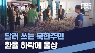 달러 쓰는 북한주민 환율 하락에 울상 (2021.10.30/통일전망대/MBC)
