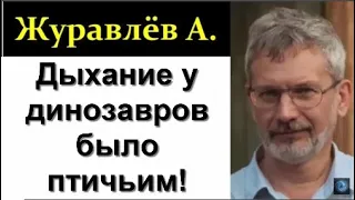 Журавлёв А. Эволюция Динозавров и причины их вымирания.