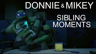 Donnie and Mikey being siblings for 14 minutes straight