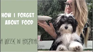 How I forget about food / A week in hospital
