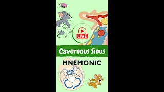 Cavernous Sinus Mnemonic (Anatomy)