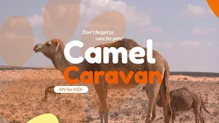 Camel Caravan: MV to Discover the Wonders of Amazing Animals!