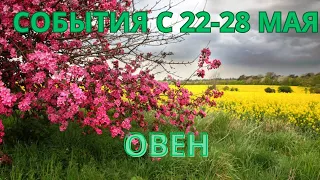 ОВЕН ♈️ ТАРОСКОП С 22-28 МАЯ/ MAY-2023 от Alisa Belial