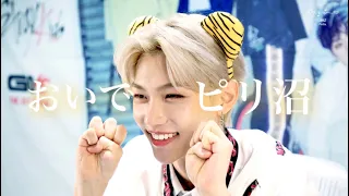 【ピリ沼へようこそ】なんで沼ったか明日までに考えておいてください。［スキズ/StrayKids/日本語字幕］