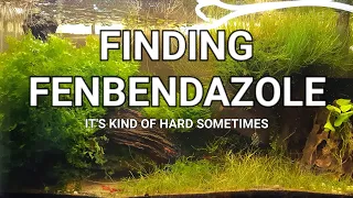 Where to Find Fenbendazole?