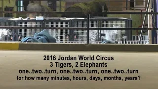 2016 Jordan World Circus - live footage of pacing tigers in tiny cages