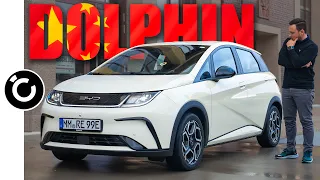 BYD Dolphin - CHINA ID.3 mit zu vielen Kompromissen!