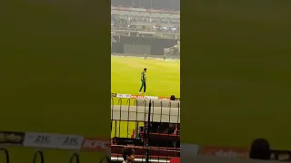 Imad wasim reaction to crowd 😂 | Funny moment of imad wasim | pak vs nz #shorts #tiktok #viral