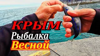 🔴ВОДА ГРЕЕТСЯ, РЫБКА ШЕВЕЛИТСЯ. Морская рыбалка. Что ловят в Крыму весной?
