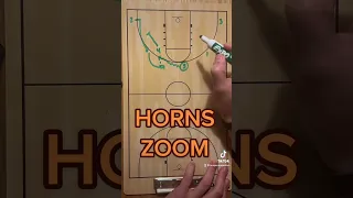 HORNS ZOOM