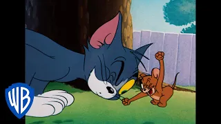 Tom y Jerry en Latino | Dibujos animados clásicos 117 | WB Kids