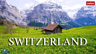 🏠🌷🌺 Grindelwald Switzerland 🇨🇭 in Spring Flowers 🚡 The Most Beautiful Holiday Destination | #swiss