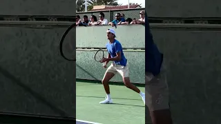 Explosiveness by Lorenzo Sonego #atp #atptour #tennis #shorts