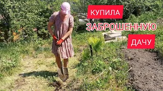 ЧЕМ Я ЗАНИМАЮСЬ НА ДАЧЕ В ЖАРУ 40 ГРАДУСОВ🥵 ВЫСАЖИВАЮ ПОМИДОРЫ БЕЗ ВОДЫ И БЕЗ ПОЛИВА