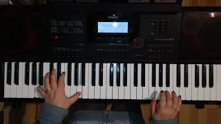 Joy  «Touch By Touch" (a cover on a synthesizer)