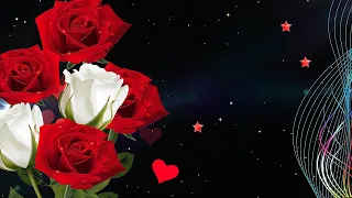 Футаж для видео монтажа на черном фоне цветы розы | Бесплатные футажи для монтажа видео