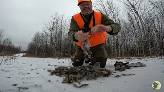 Late Season Grouse Hunt and Campfire Cook