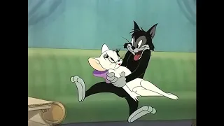 Tom and Jerry - "Casanova Cat" Best Moments.