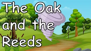 The Oak and the Reeds - English | Story for kids with subtitles