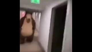 Bear chasing person down hall meme