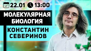 Константин Северинов. Молекулярная биология: Как клонируют ДНК . Инвестируем в производство инсулина