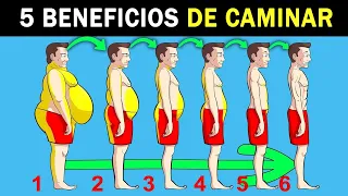 Cuáles son los BENEFICIOS de CAMINAR TODOS LOS DÍAS ✅