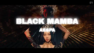 ⌜ COVER ⌟ BLACK MAMBA | AESPA (에스파)