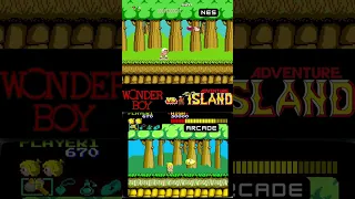 Wonder Boy Vs Aventure Island: NES/Arcade