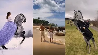 Horse TikToks That Went Viral! #14