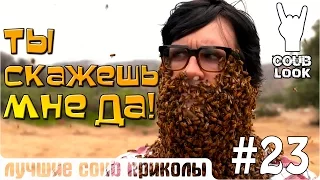 Лучшие coub приколы #23. Ты скажешь мне да!