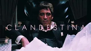 CLANDESTINA EDIT - TONY MONTANA