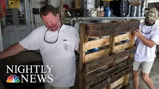 Residents Start Cleanup Effort After Hurricane Nate | NBC Nightly News