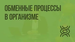 Обменные процессы в организме. Видеоурок по биологии 8 класс