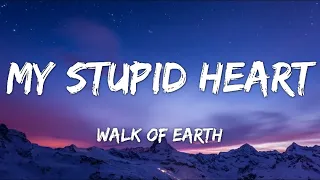 My Stupid Heart - Walk of Earth Lyrics Audio (Kids Version)