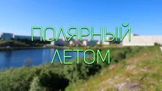 Полярный летом