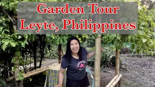 Garden Tour in Leyte Philippines Part 1 #succulents #garden #vacation #family