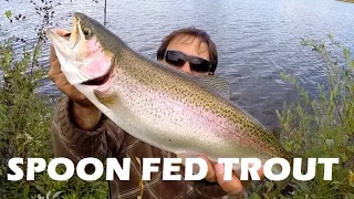 How to catch Rainbow Trout with Spoon