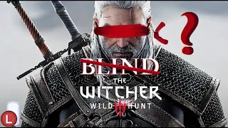 Let's Play THE WITCHER 3 BLIND Part 378 | ANSEIS CHALLENGES GERALT TO A JOUST