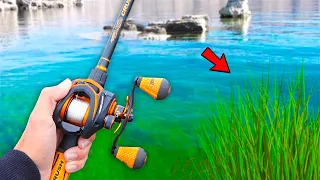 Searching for GIANT Bass in Ultra CLEAR Water (Lake Fishing)
