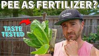 I Grew Lettuce Using Only PEE AS FERTILIZER And Ate It!