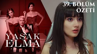 Yasak Elma 39. Bölüm Özeti