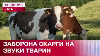 У Франції заборонили скаржитись на звуки природи. Що думають про це кияни?