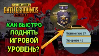 КАК БЫСТРО ПОДНЯТЬ ИГРОВОЙ УРОВЕНЬ В PUBG MOBILE?