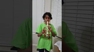 Ode to Joy by Beethoven on a recorder