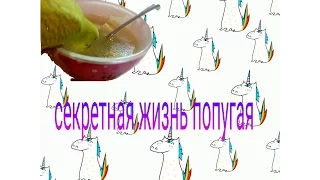 ТАЙНАЯ ЖИЗНЬ ПОПУГАЯ |1 серия|