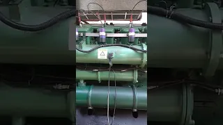 700kw biogas generator running