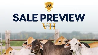 "You Can Never Have Too Many Great Cows..." Made for Magic VII Sale Preview