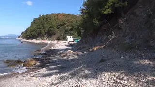 Черное море, село  Ольгинка кемпинги август.